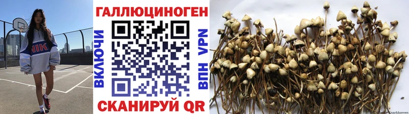 Купить закладки  Гаврилов Посад  Галлюциногенные грибы ЛСД 